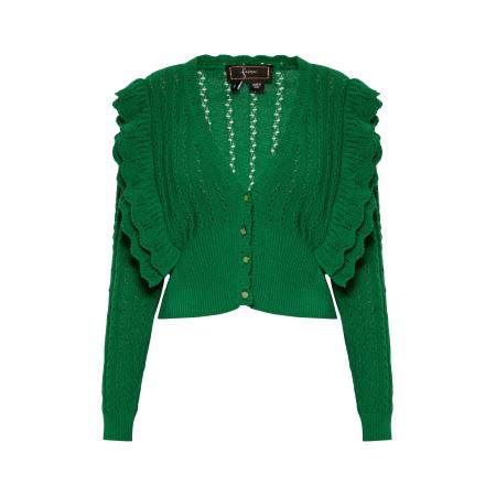 Faina faina Gebreid vest groen