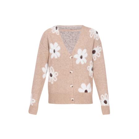 NAEMI NAEMI Gebreid vest lichtbruin / donkerbruin / wit