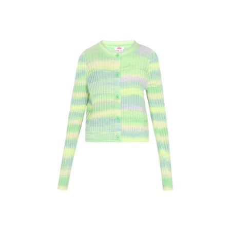 MYMO MYMO Gebreid vest groen / lila