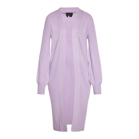 NAEMI NAEMI Gebreid vest lavendel