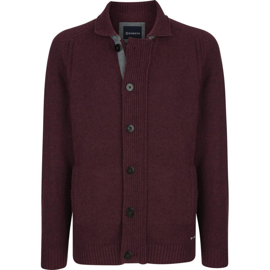 BABISTA BABISTA Gebreid vest Roblote bourgogne -