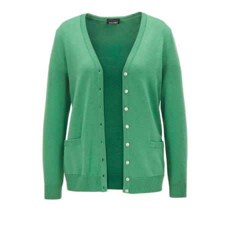 Goldner Goldner Gebreid vest groen