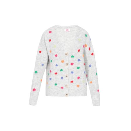 MYMO MYMO Gebreid vest lichtgrijs / gemengde kleuren