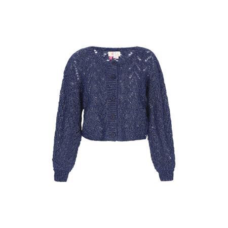 IZIA IZIA Gebreid vest navy