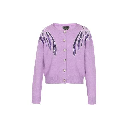 Faina faina Gebreid vest pruim