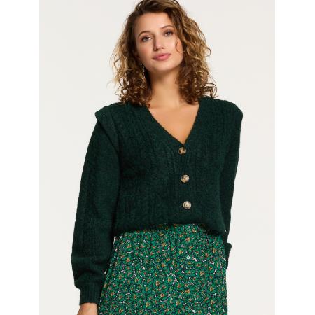 Shiwi Shiwi Gebreid vest Aspen spar