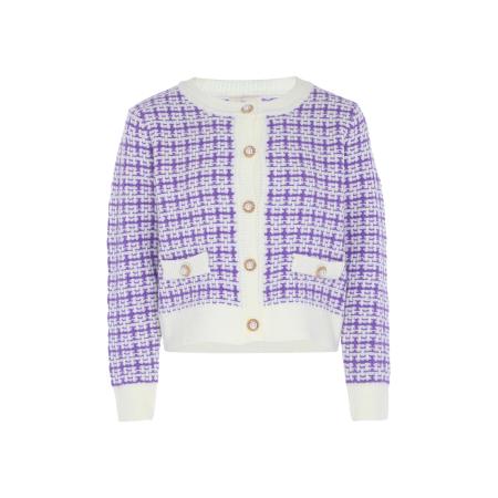 aleva aleva Gebreid vest lila / wolwit