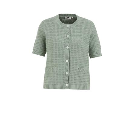 WE Fashion WE Fashion Gebreid vest mintgroen