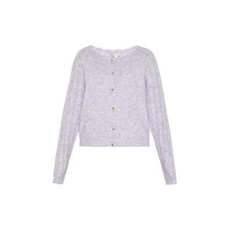 Usha Usha Gebreid vest lichtlila