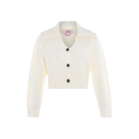 aleva aleva Gebreid vest wolwit