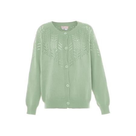 Jalene Jalene Gebreid vest pastelgroen