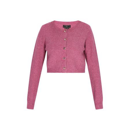 Faina faina Gebreid vest rosa