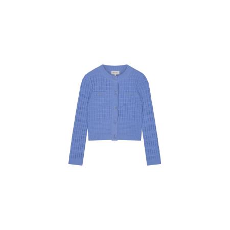 Fabienne Chapot Fabienne Chapot Gebreid vest blauw