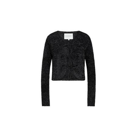 Fabienne Chapot Fabienne Chapot Gebreid vest zwart