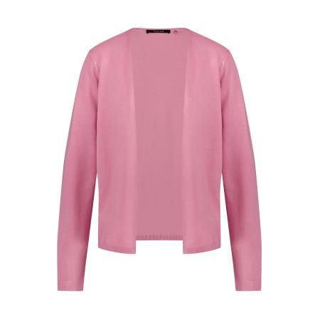 Taifun TAIFUN Gebreid vest eosine