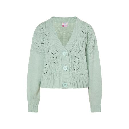 IZIA IZIA Gebreid vest Eyota mintgroen
