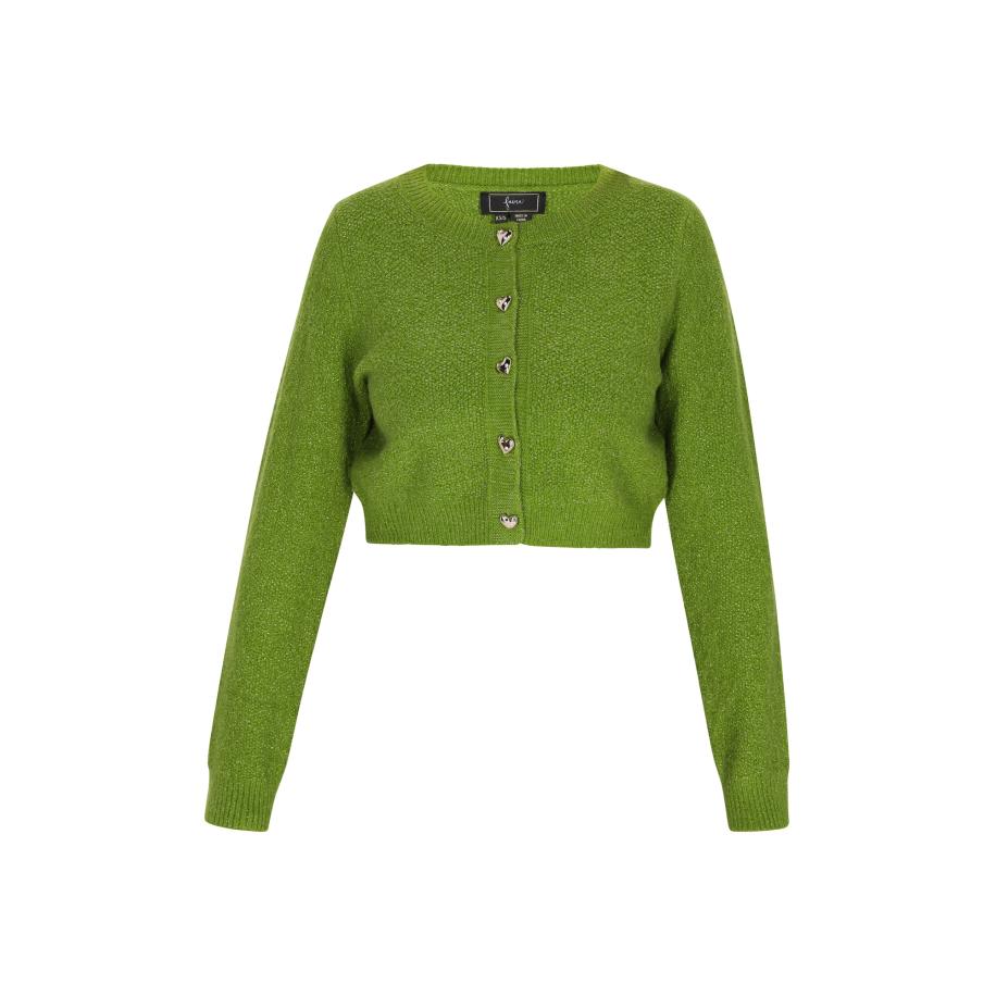 Faina faina Gebreid vest groen -