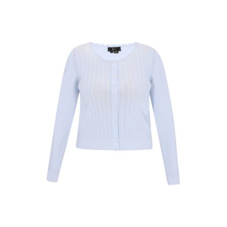 Faina faina Gebreid vest lichtblauw