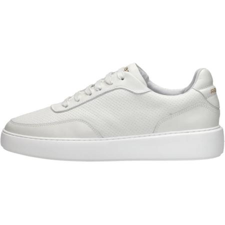 Rehab - Taylor Lthr Prf