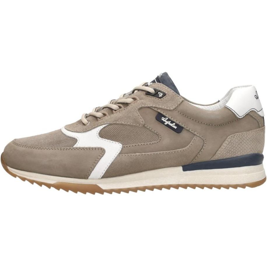 Australian - Bakersville Bruin