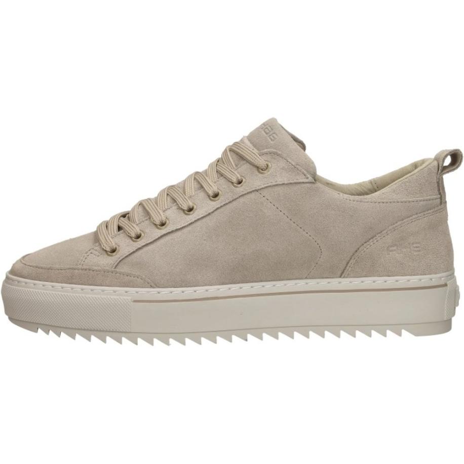 Rehab - Crash Sue Bruin