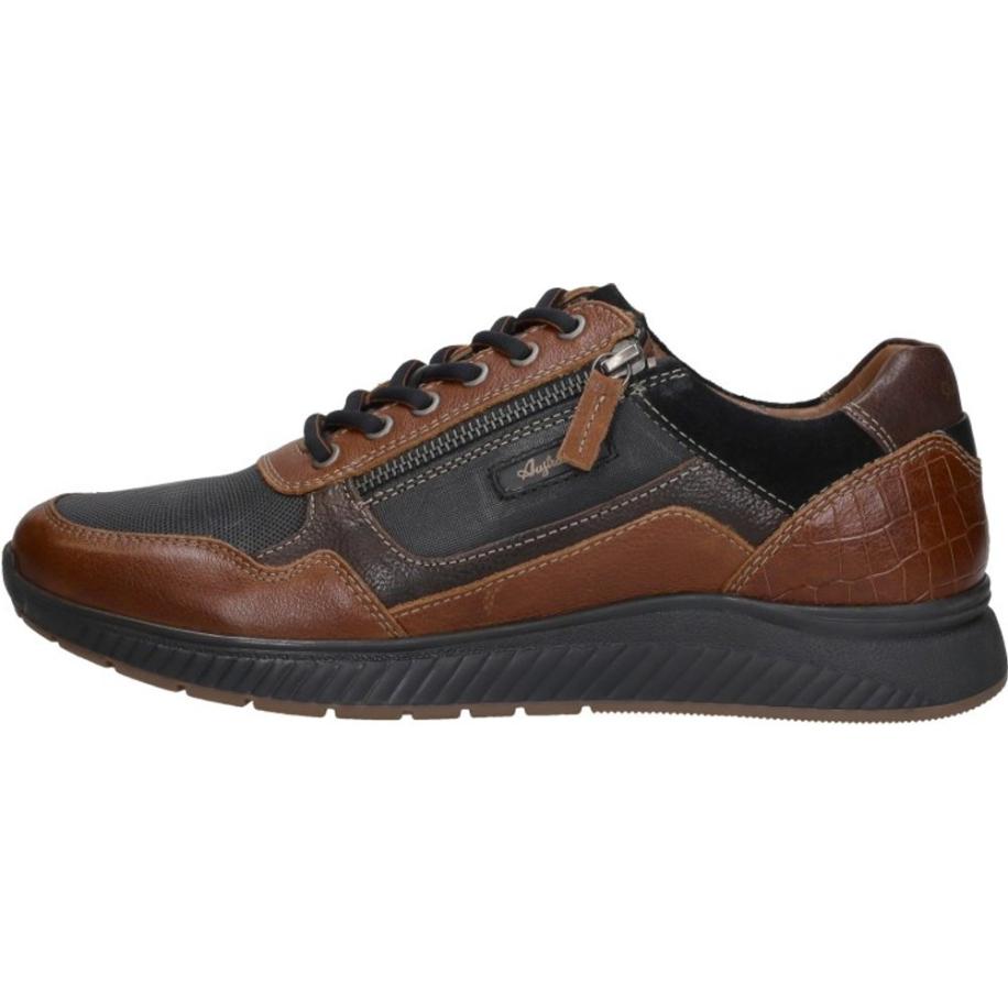 Australian - Hatchback Bruin