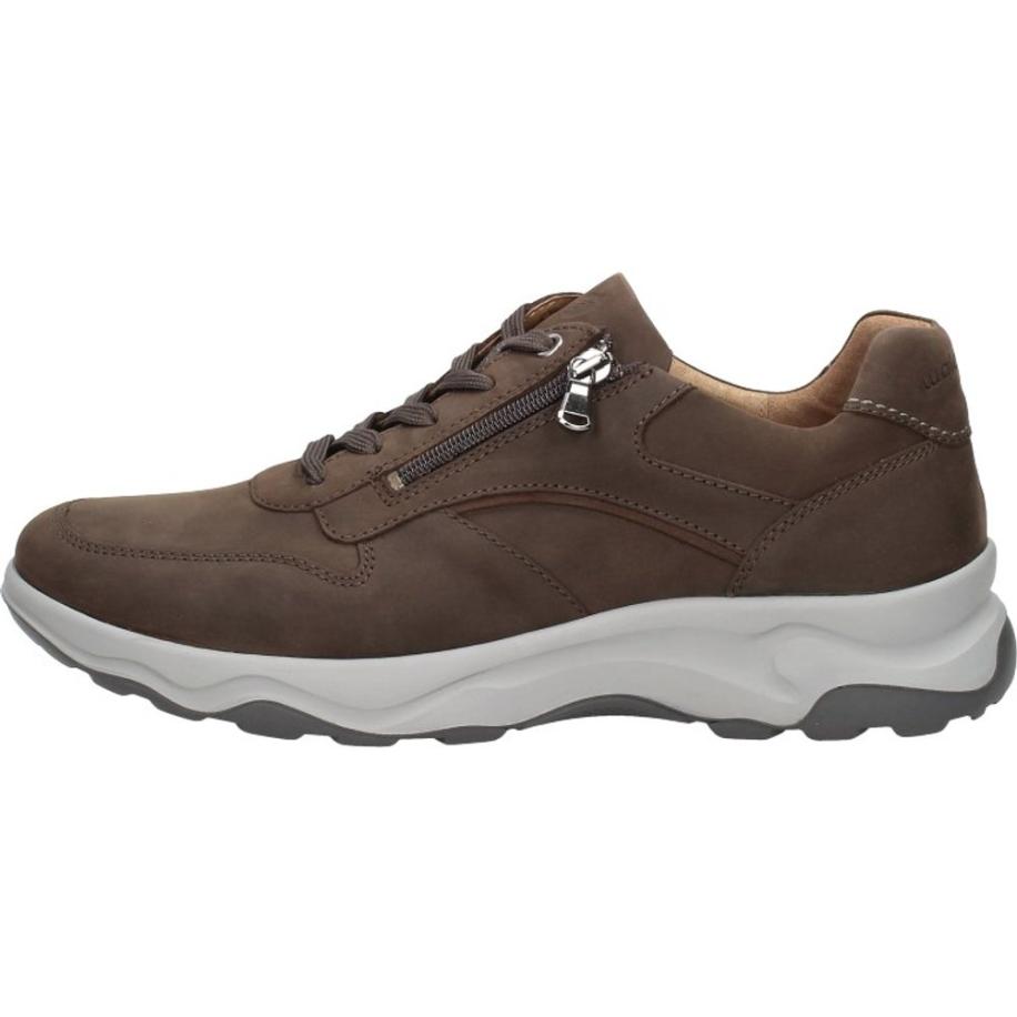 Waldläufer - H-max Bruin