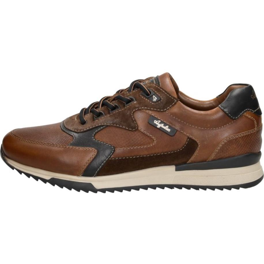 Australian - Bakersville Bruin