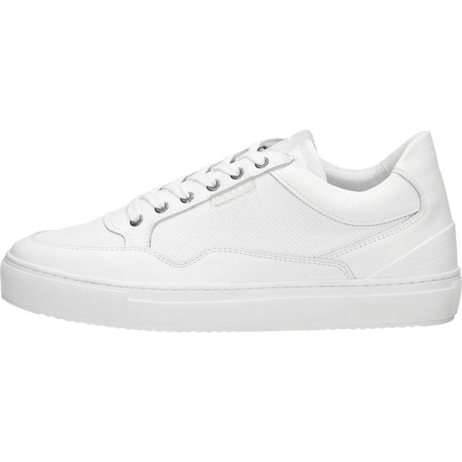 Tozen - Katashi 2 Wit