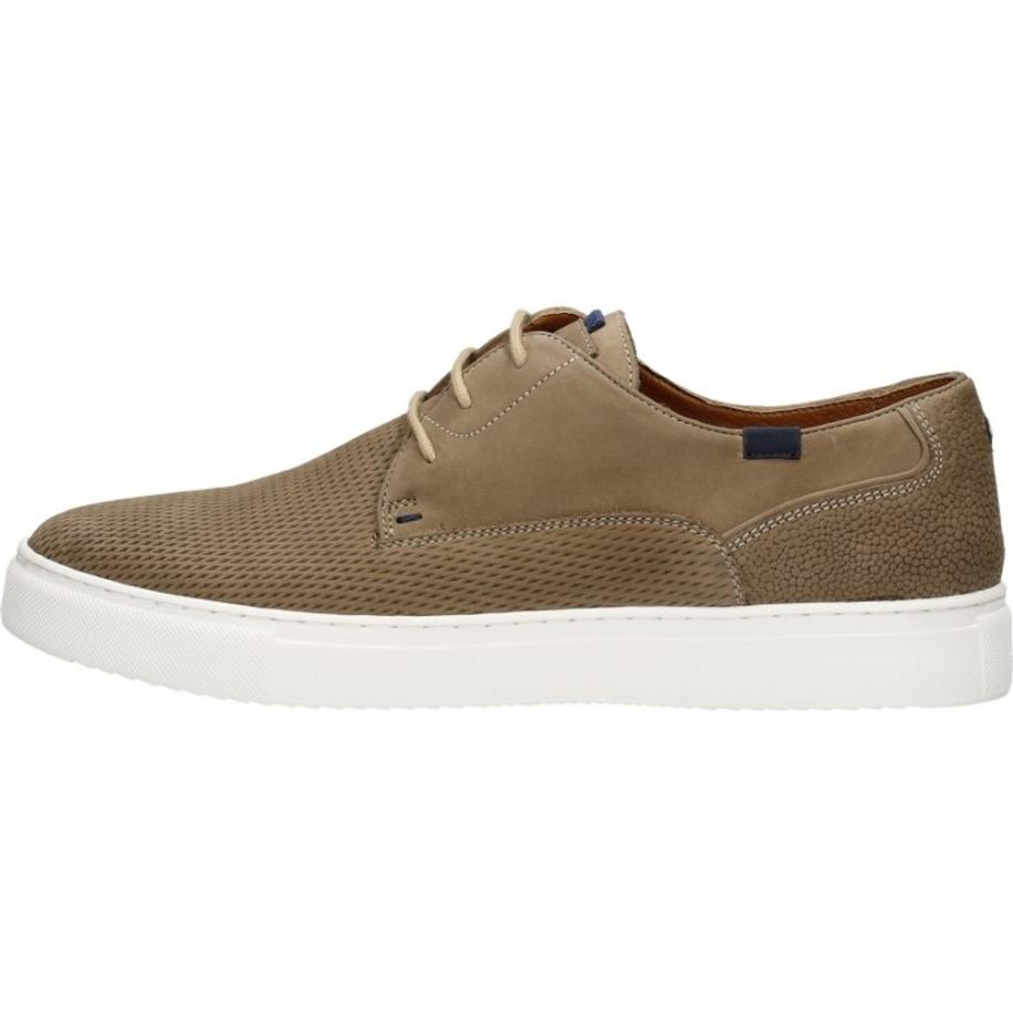 Australian - Morris Bruin