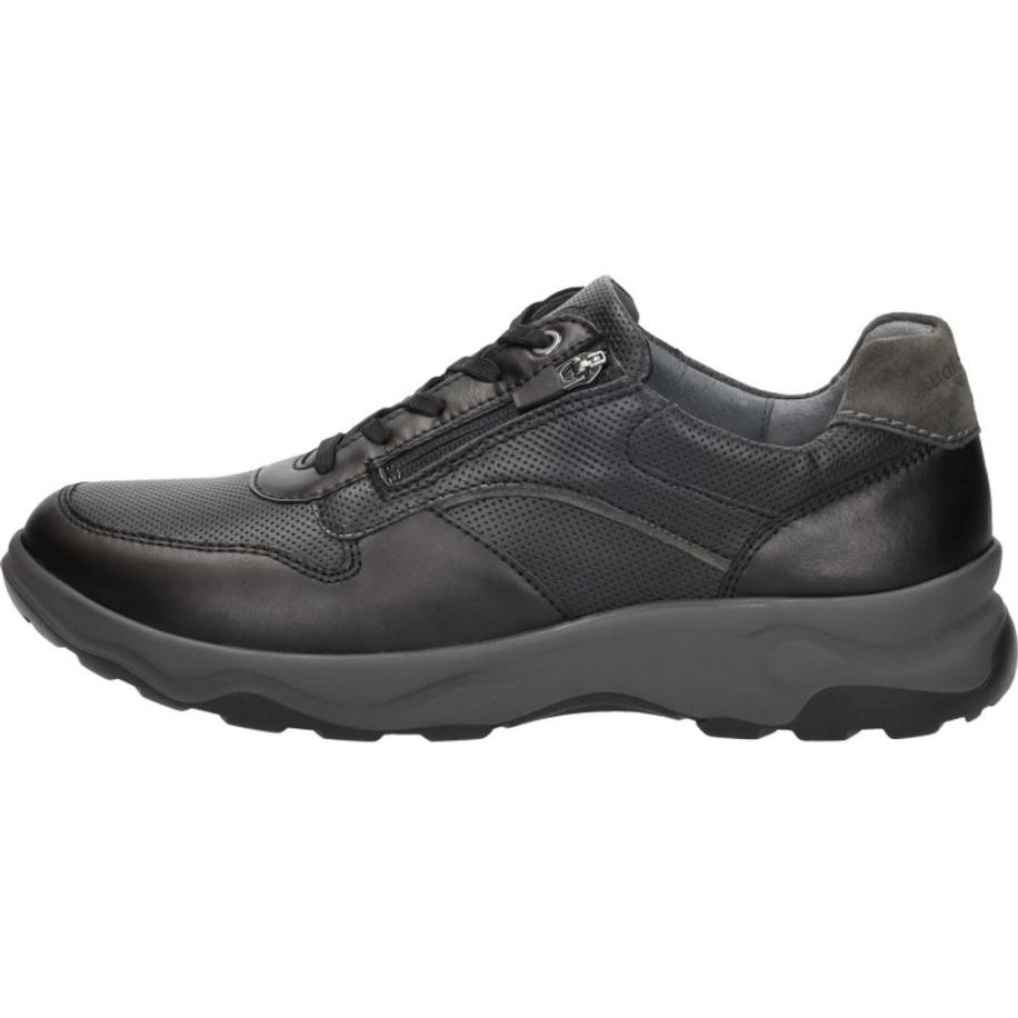 Waldläufer - H-max Zwart