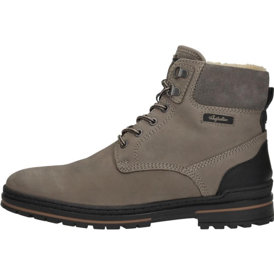 Australian - York Bruin