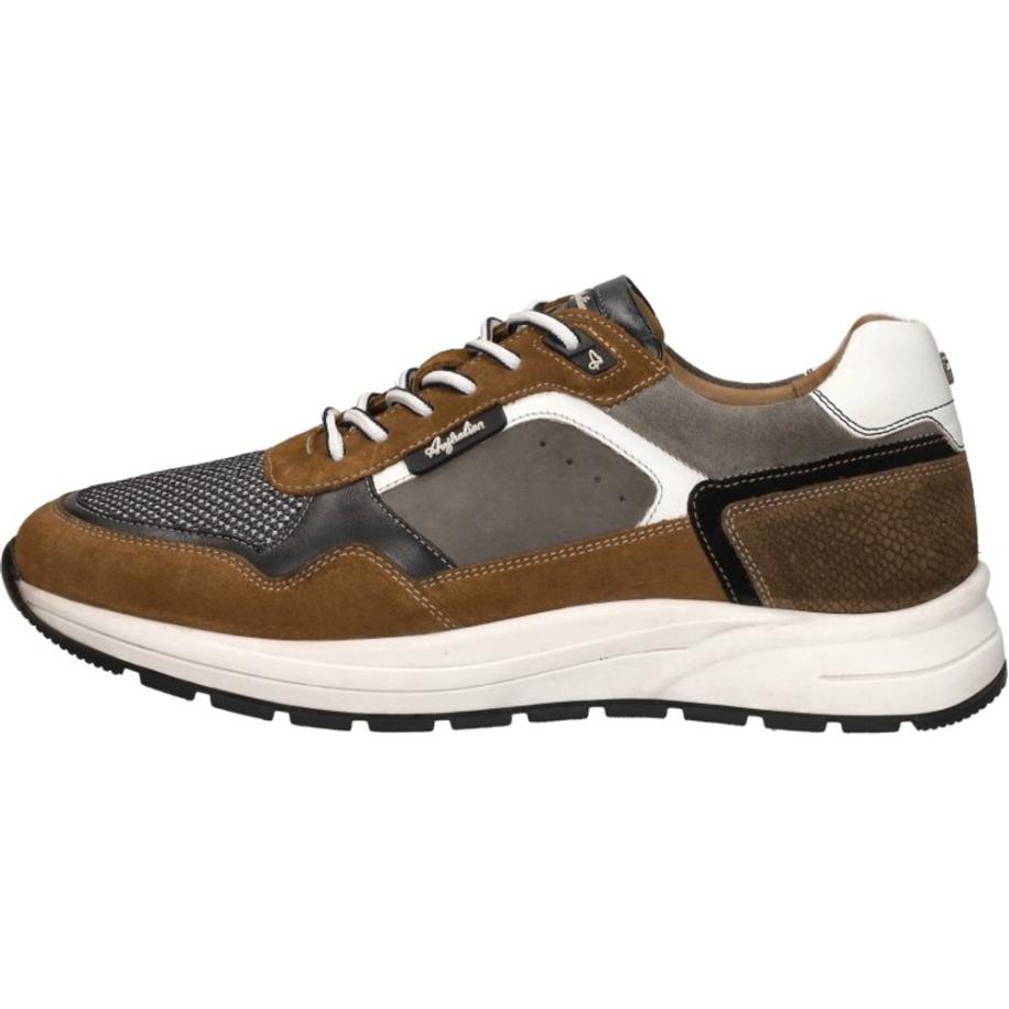 Australian - Moreno Bruin