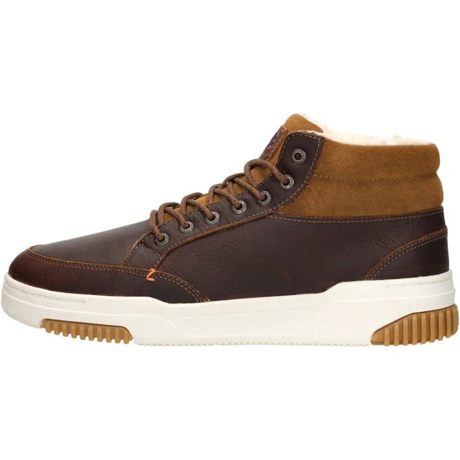 Hub - Mark 2.1 Bruin