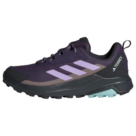 Adidas ADIDAS TERREX Lage schoen Anylander pruim / lichtlila / zwart / wit