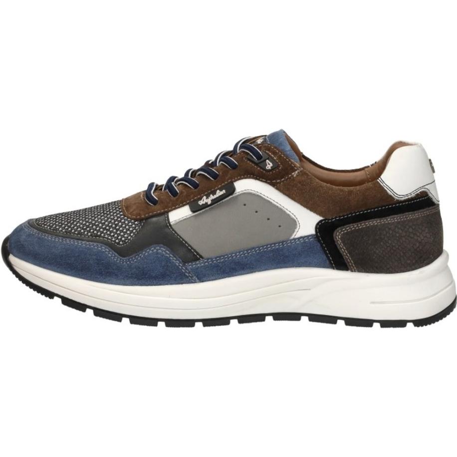 Australian - Moreno Blauw