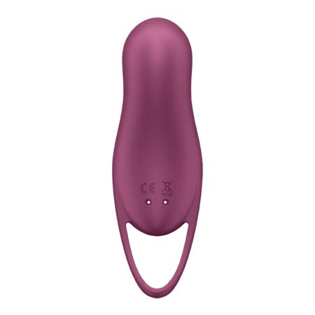 Satisfyer Satisfyer Pocket Pro 1 13,9 cm