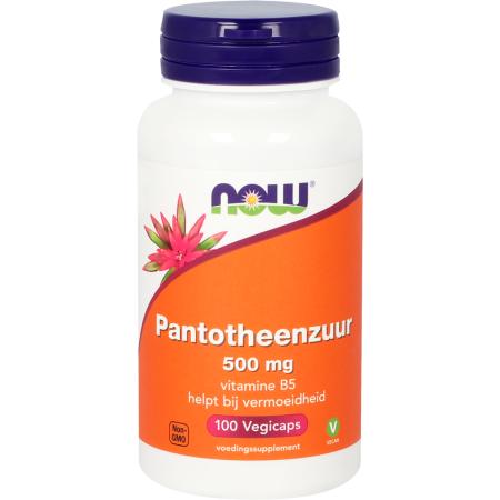 NOW Pantotheenzuur 500 mg capsules