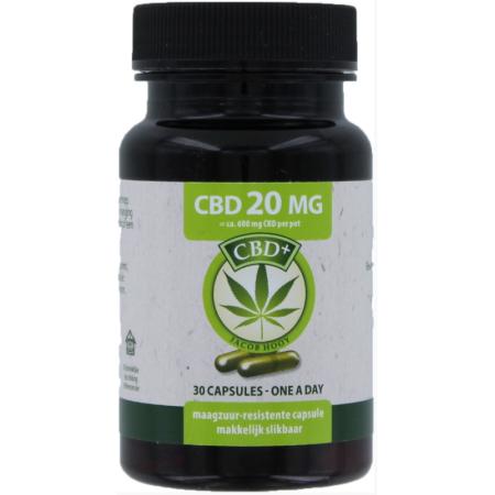 Jacob Hooy CBD+ 20mg Capsules