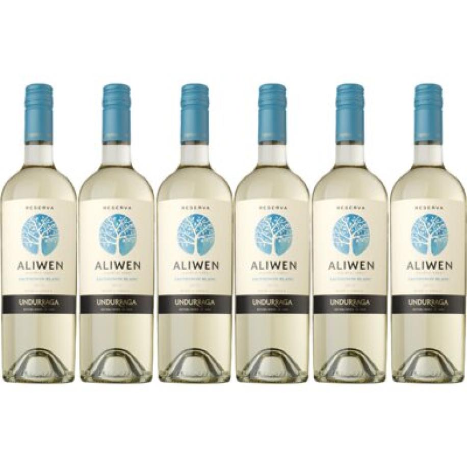 Aliwen Sauvignon blanc reserva 6 flessen