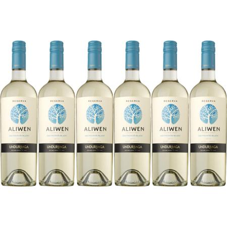 Aliwen Sauvignon blanc reserva 6 flessen