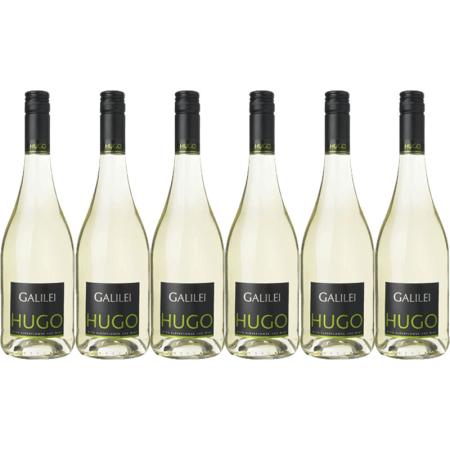 Galilei Hugo 6 flessen