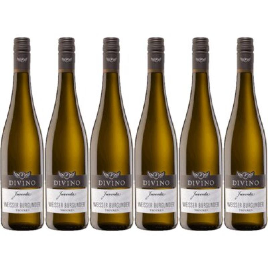 Divino Juventa weissburgunder 6 flessen
