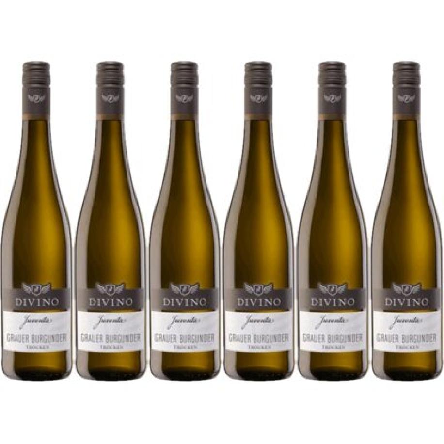 Divino Juventa grauburgunder 6 flessen