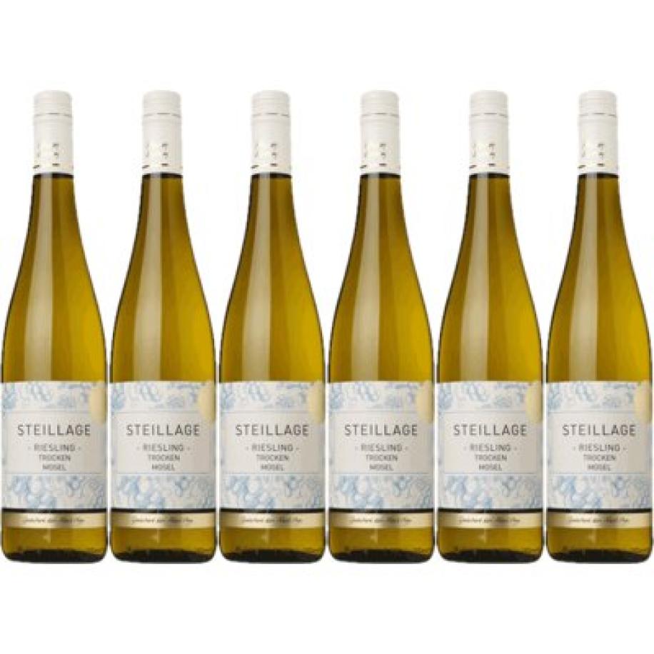 AH Excellent Selectie riesling 6 flessen