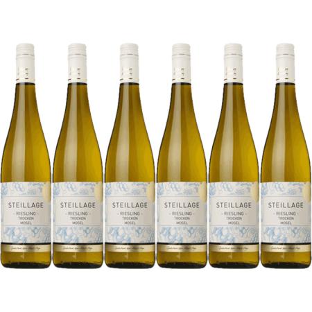 AH Excellent Selectie riesling 6 flessen