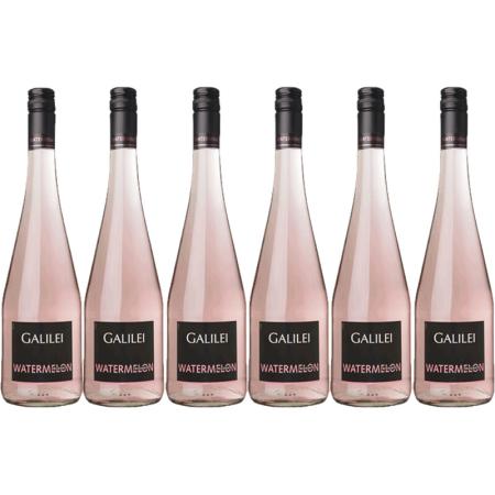 Galilei Galilei Frizzante watermelon 6 stuks