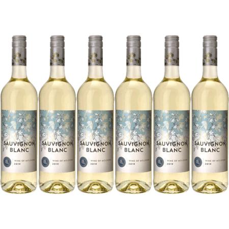 Sauvignon Moldavie Sauvignon blanc 6 stuks