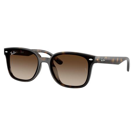 Ray-Ban RB4461D Aziatische pasvorm 710/13 Tortoiseshell Heren Zonnebril