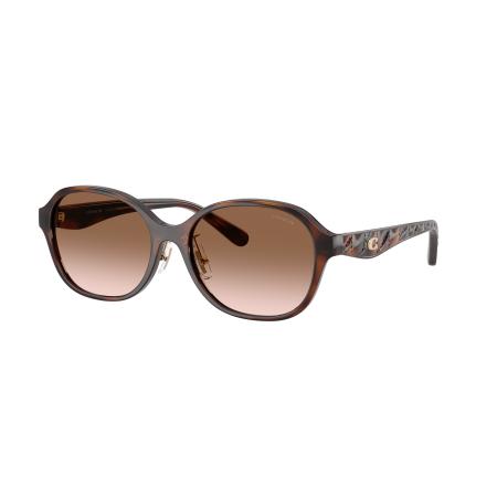 Coach HC8445D CBY85 Aziatische pasvorm 512013 Tortoiseshell Dames Zonnebril